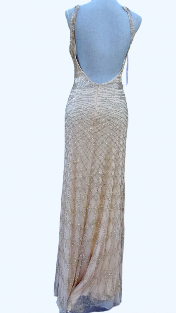 Primavera Prom maxi gown